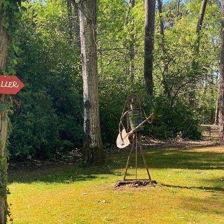 ラカノー Le Petit Poulailler Au Beau Milieu Des Pinsヴィラ エクステリア 写真