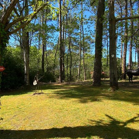 ラカノー Le Petit Poulailler Au Beau Milieu Des Pinsヴィラ エクステリア 写真