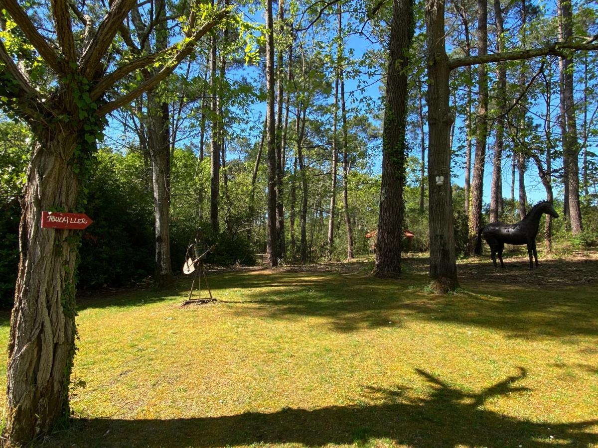 ラカノー Le Petit Poulailler Au Beau Milieu Des Pinsヴィラ エクステリア 写真