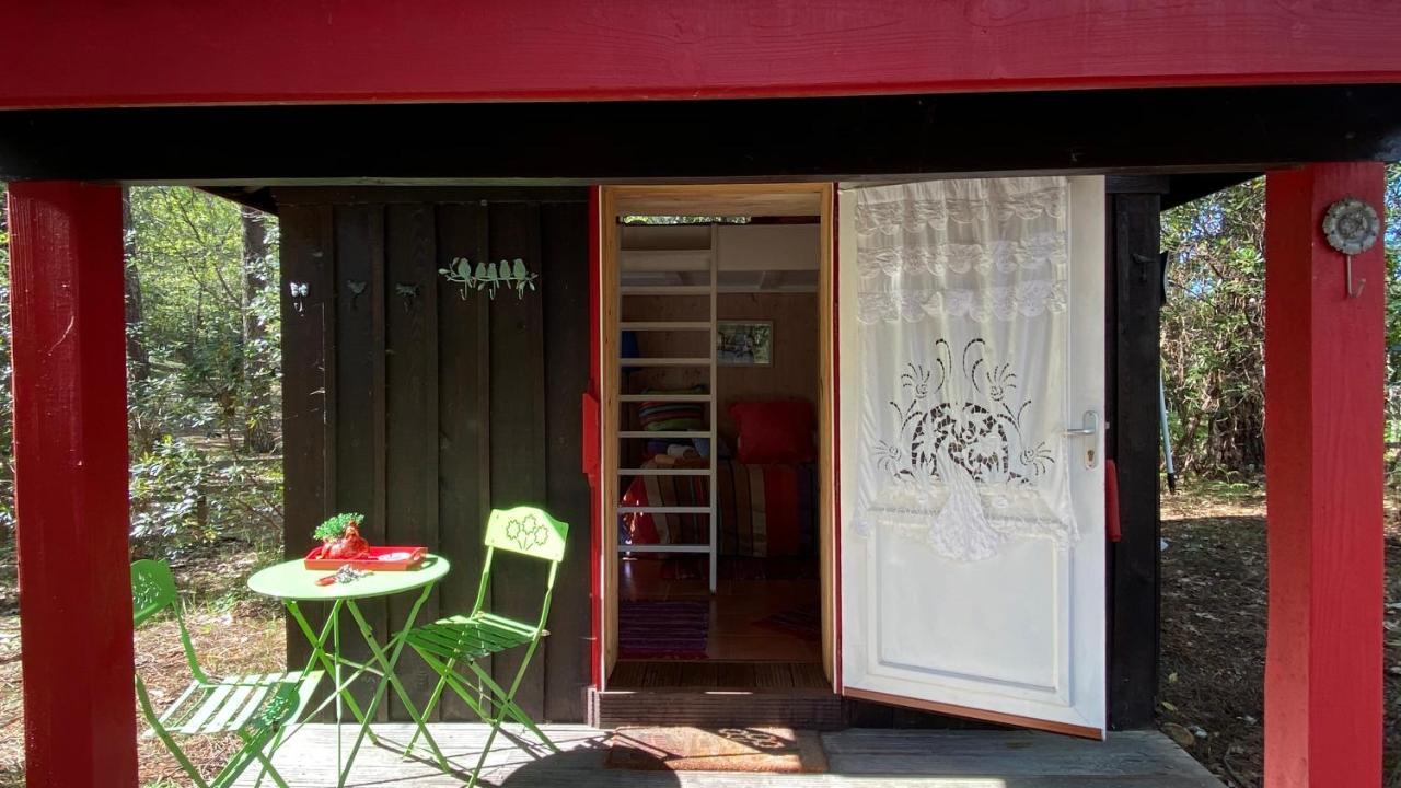 ラカノー Le Petit Poulailler Au Beau Milieu Des Pinsヴィラ エクステリア 写真