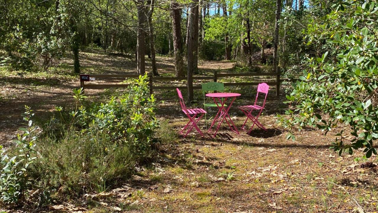 ラカノー Le Petit Poulailler Au Beau Milieu Des Pinsヴィラ エクステリア 写真